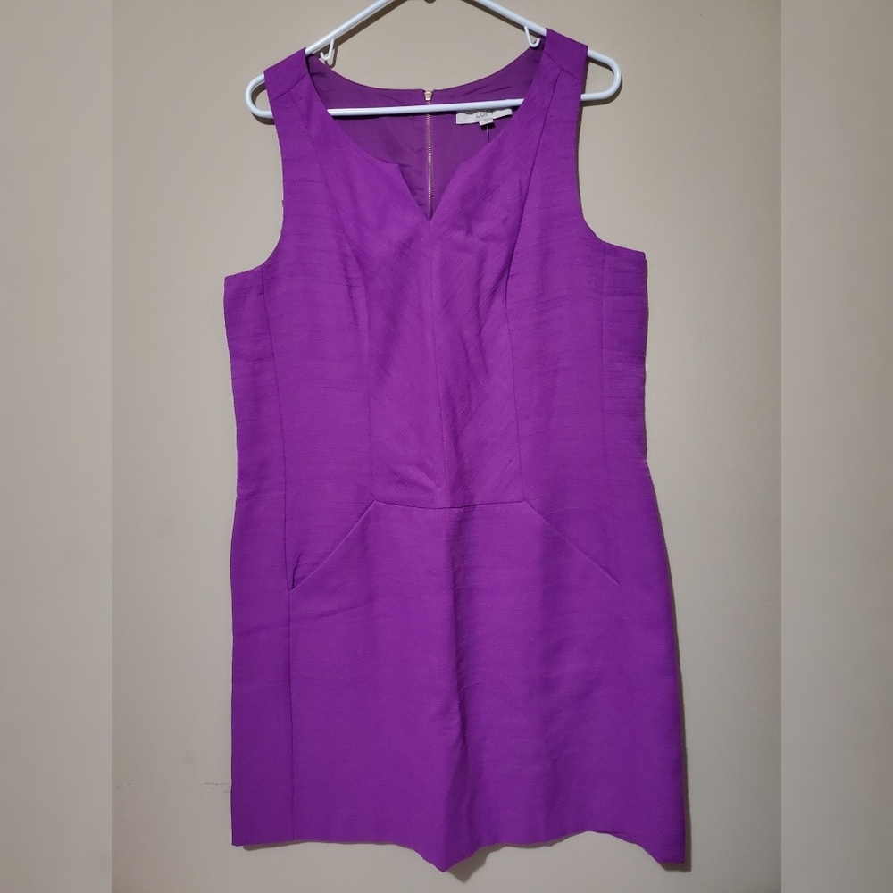 LOFT Vibrant Purple Dress
Classic